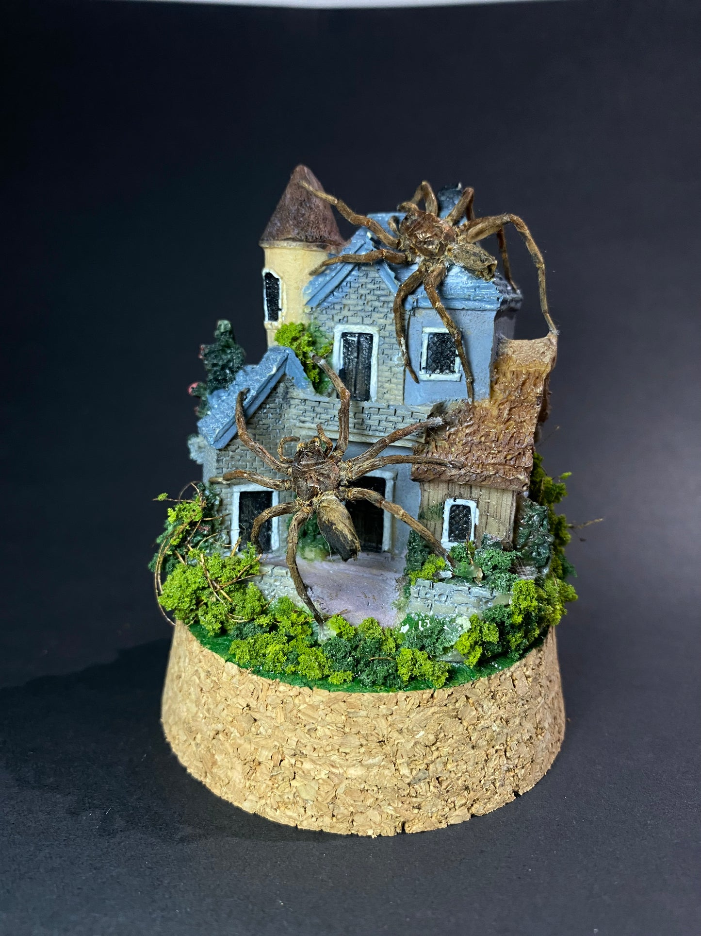 The Nest - Huntsman house