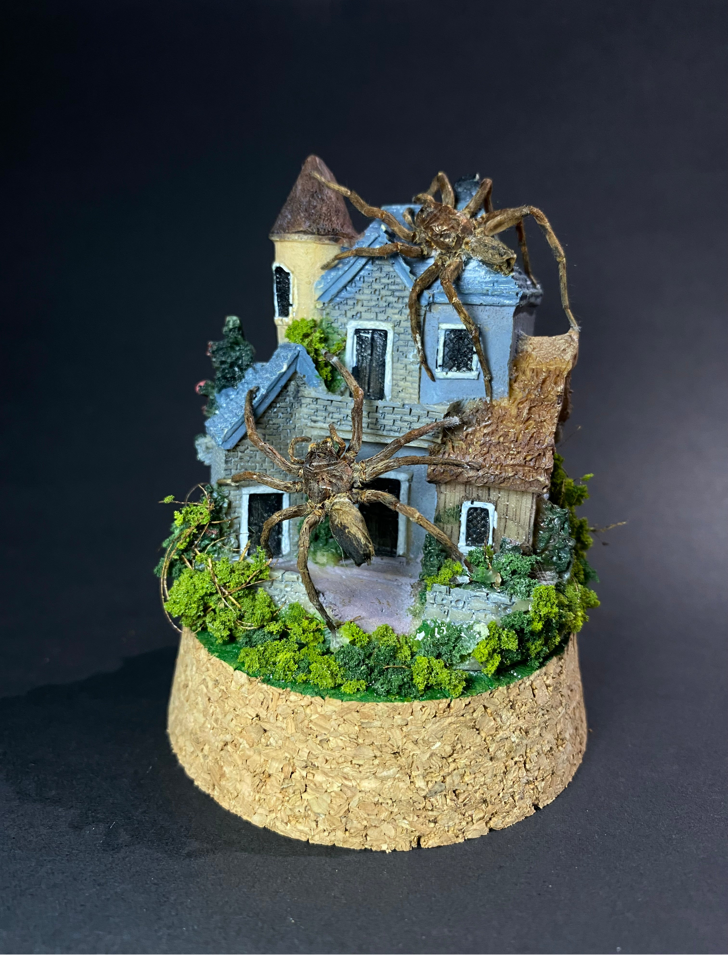 The Nest - Huntsman house