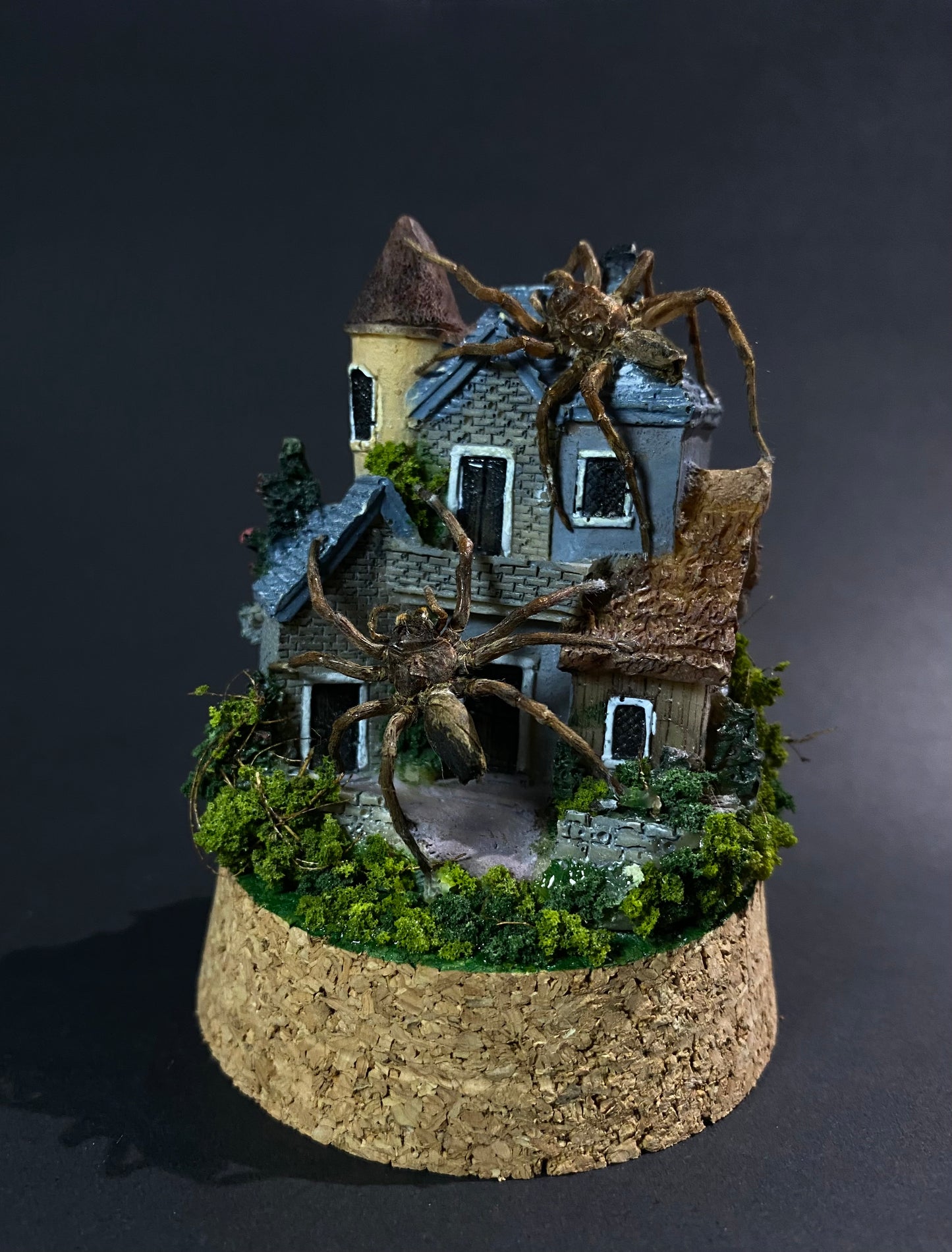 The Nest - Huntsman house