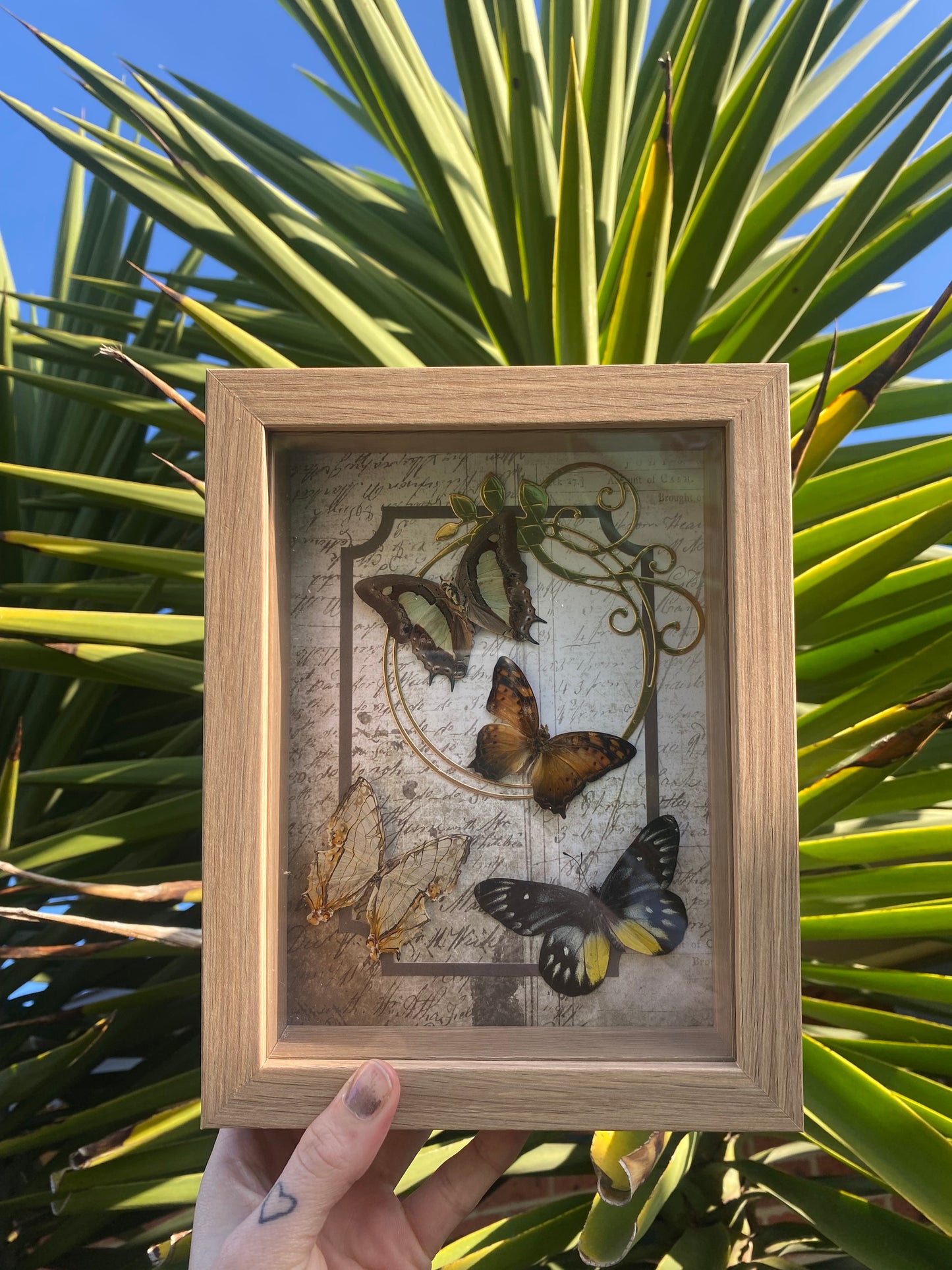 Victorian inspired butterfly frame
