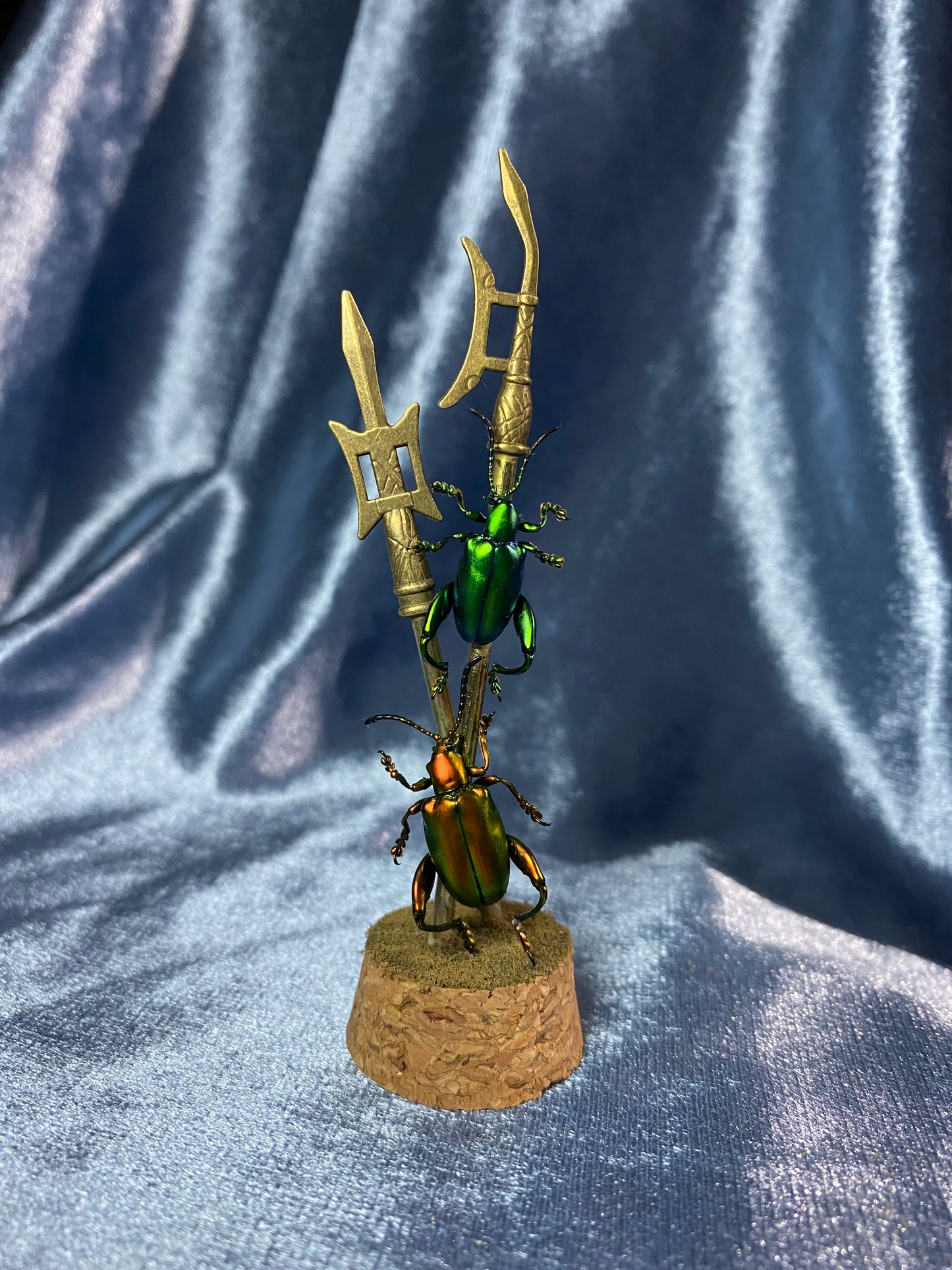 Medieval Beetles