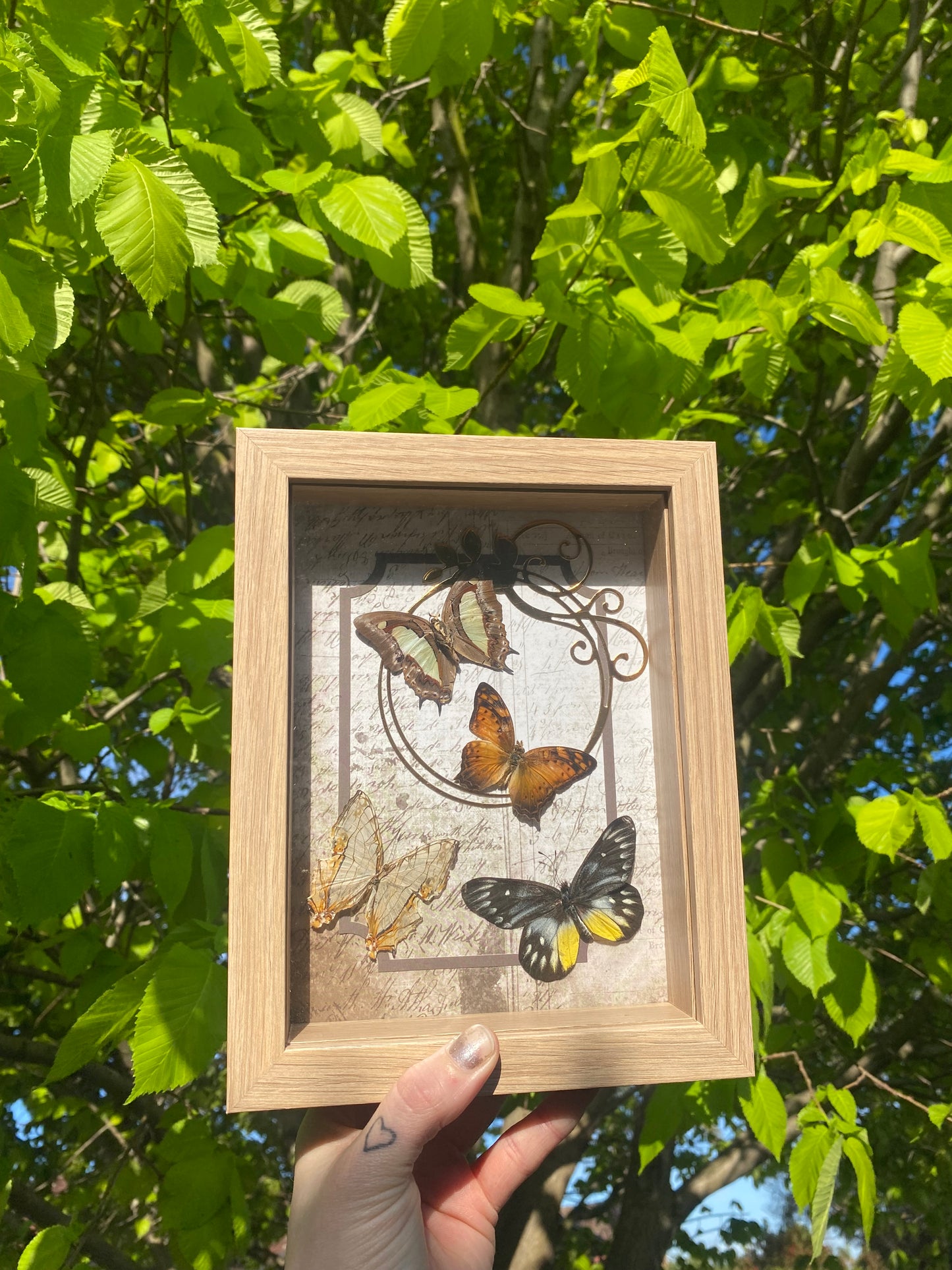 Victorian inspired butterfly frame