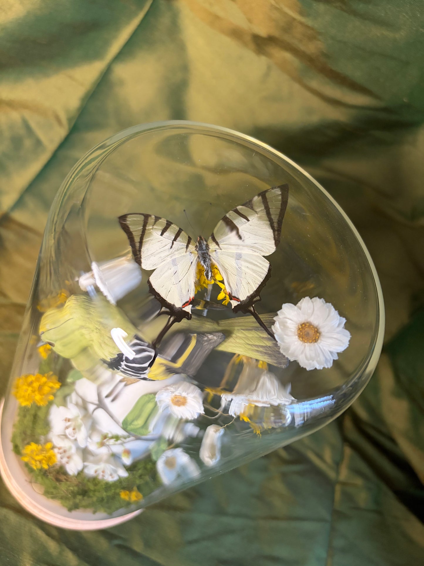 Japanese Bird bell & White swallowtail