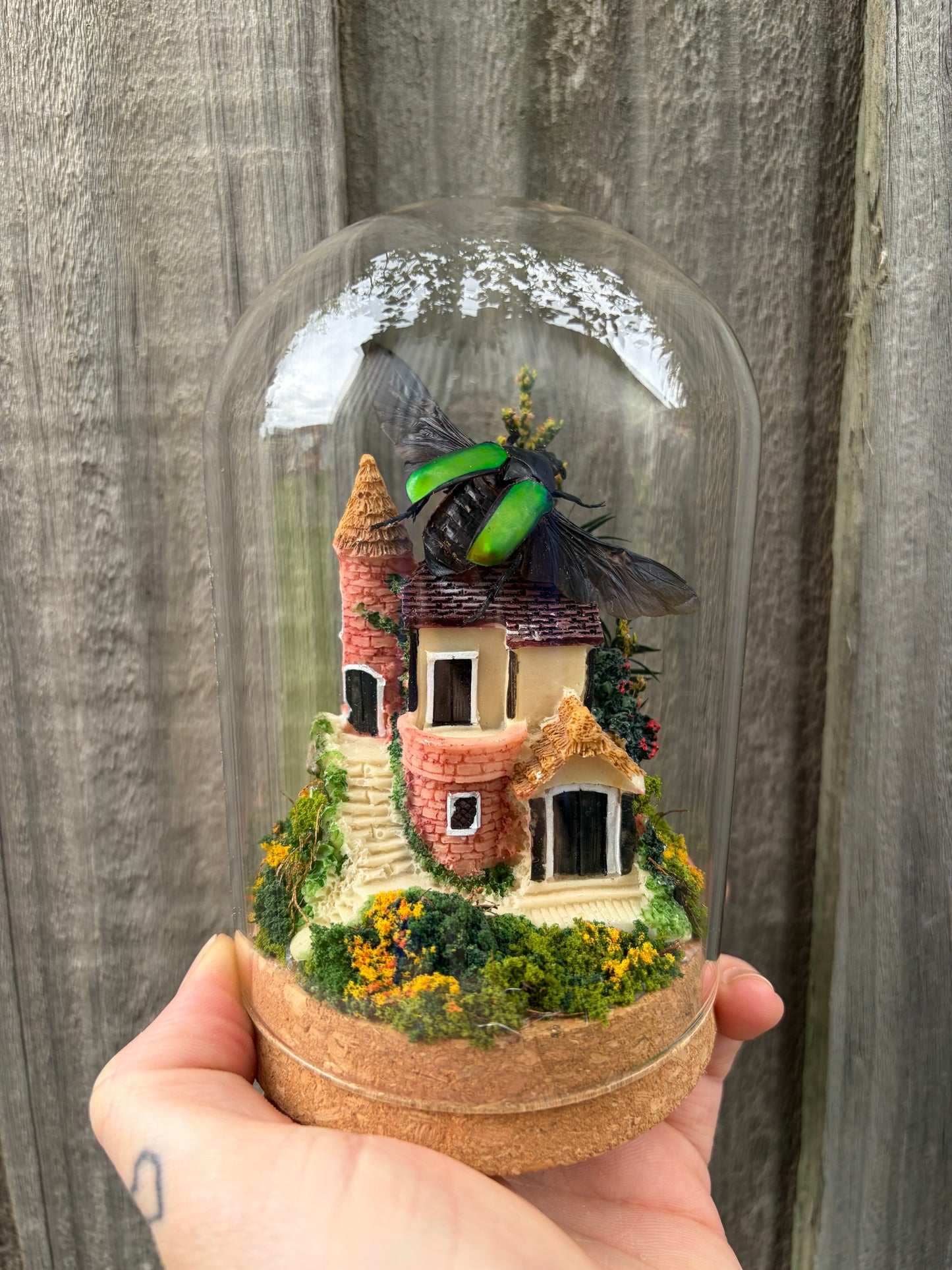 The Take off - Green Scarab beetle