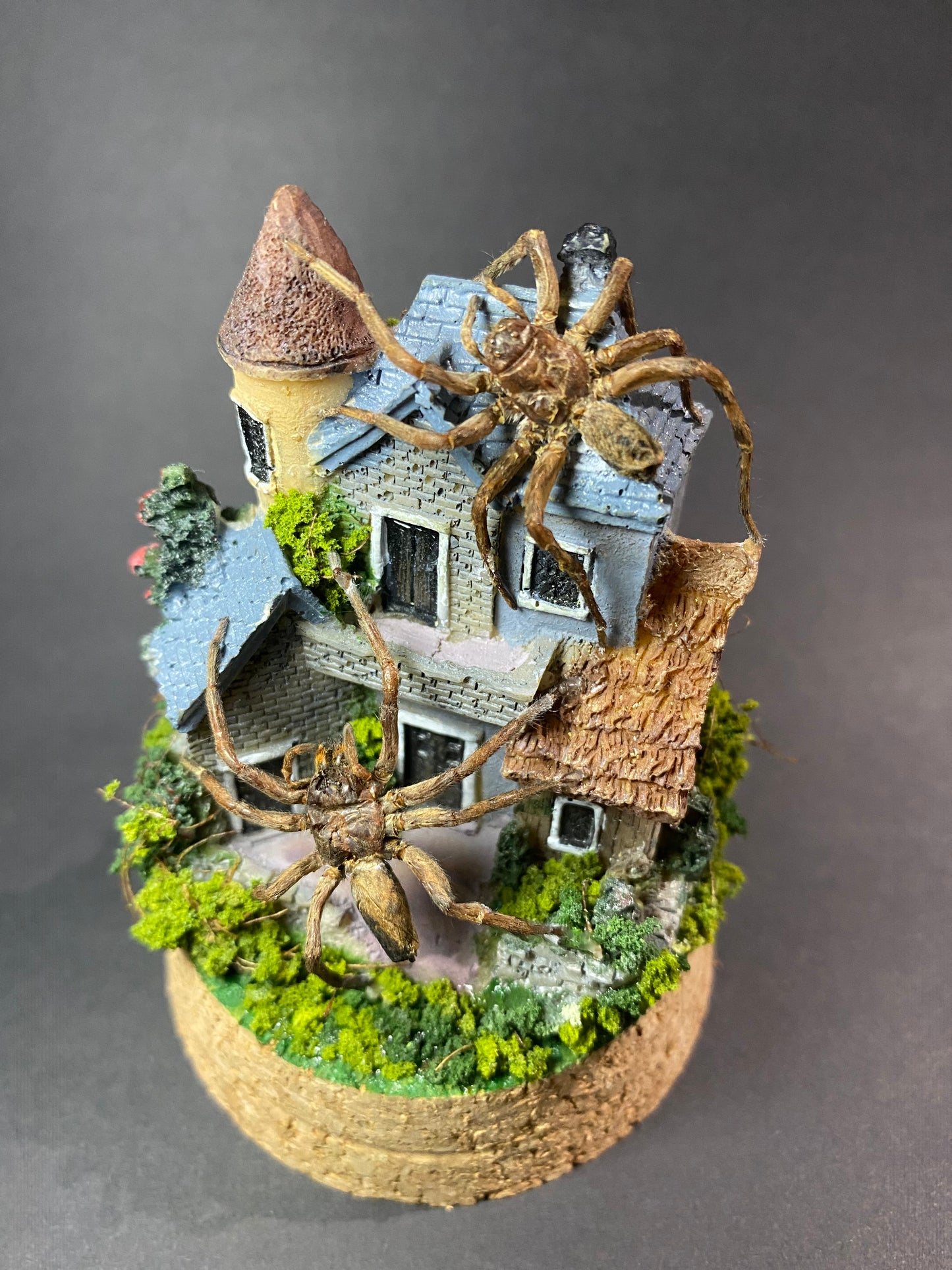 The Nest - Huntsman house