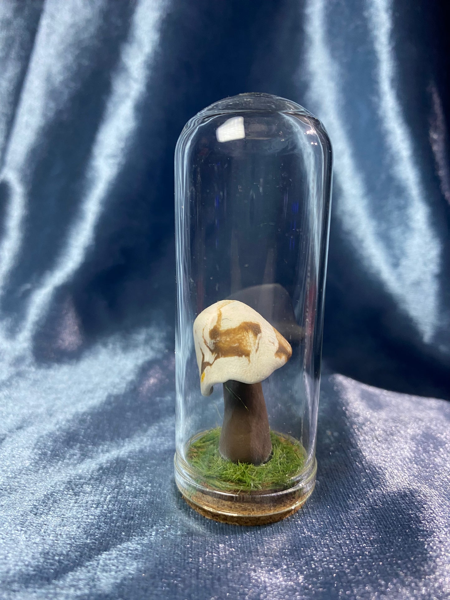 Mushroom Domes