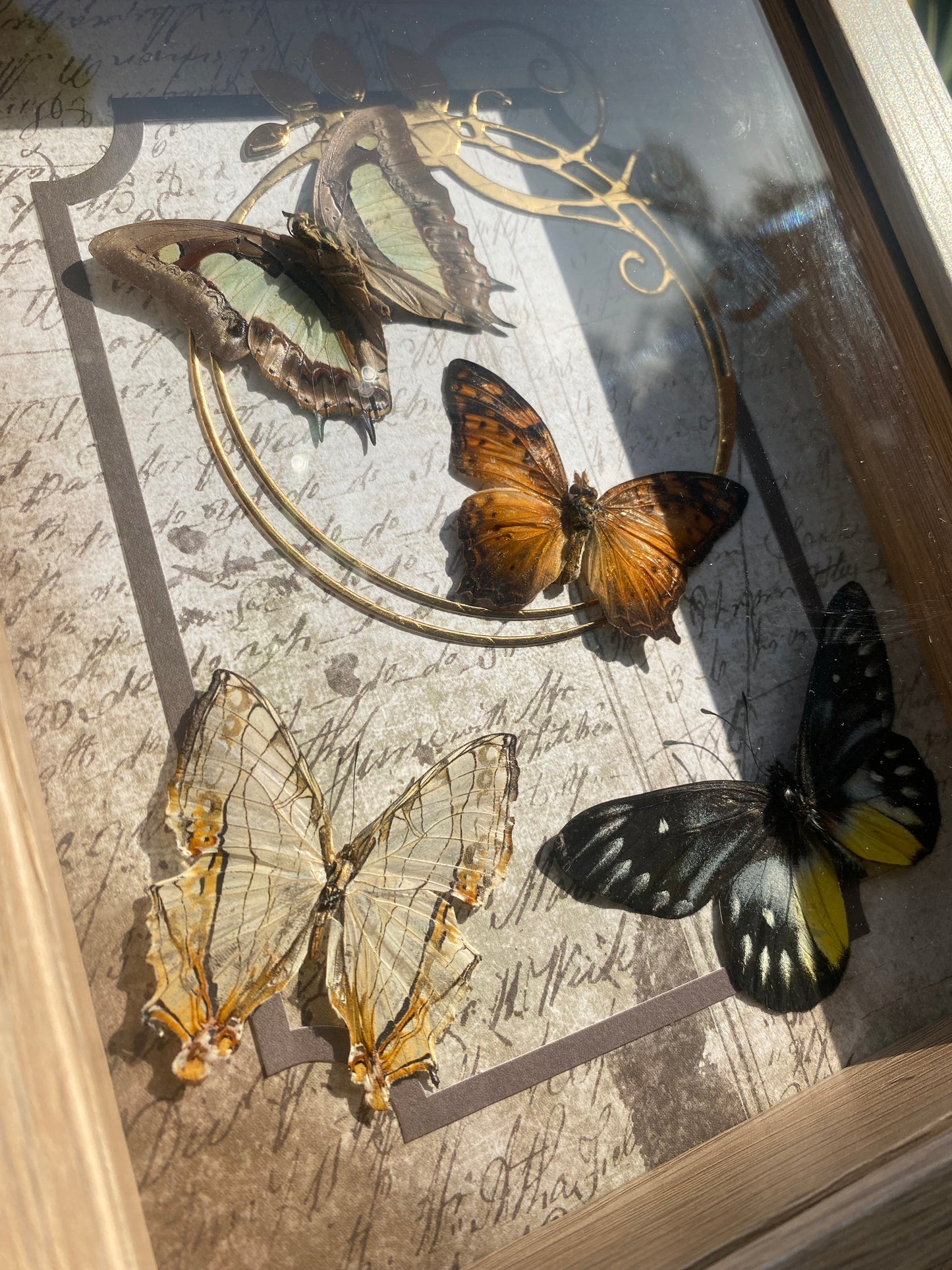 Victorian inspired butterfly frame