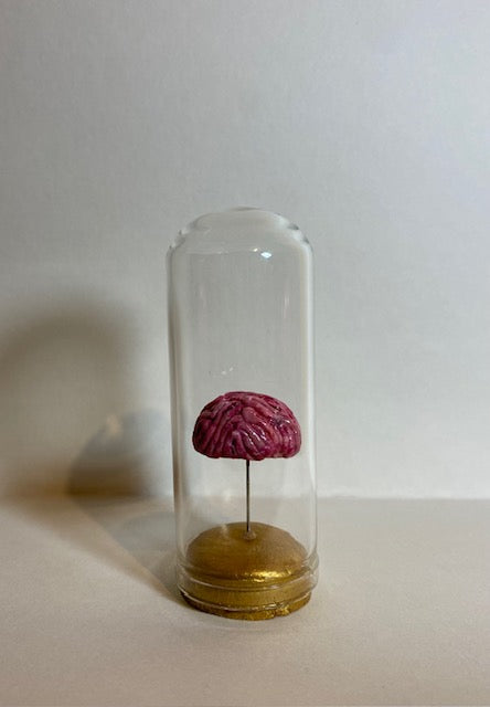 Small Brain Dome