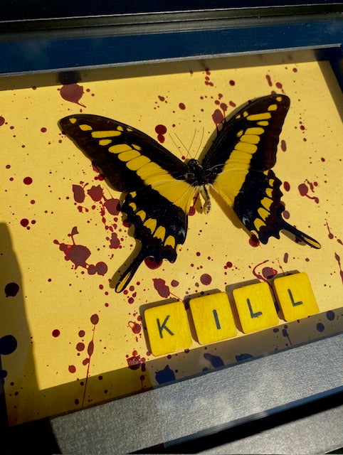 King Swallowtail (Kill Bill)