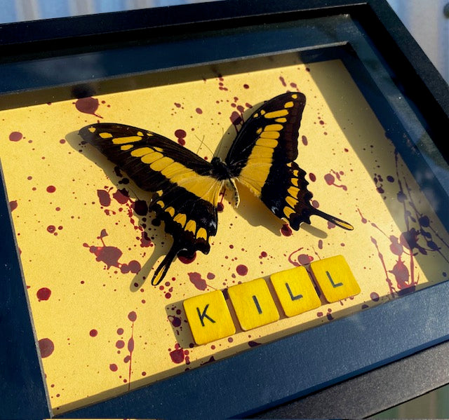 King Swallowtail (Kill Bill)