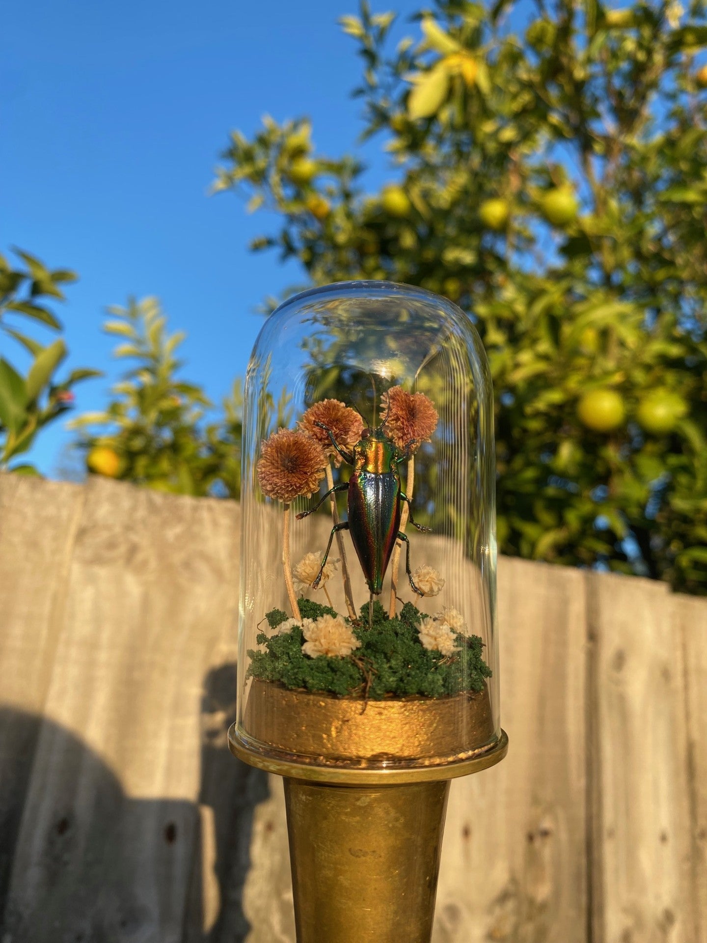 Rainbow Jewel Beetle Candle Holder
