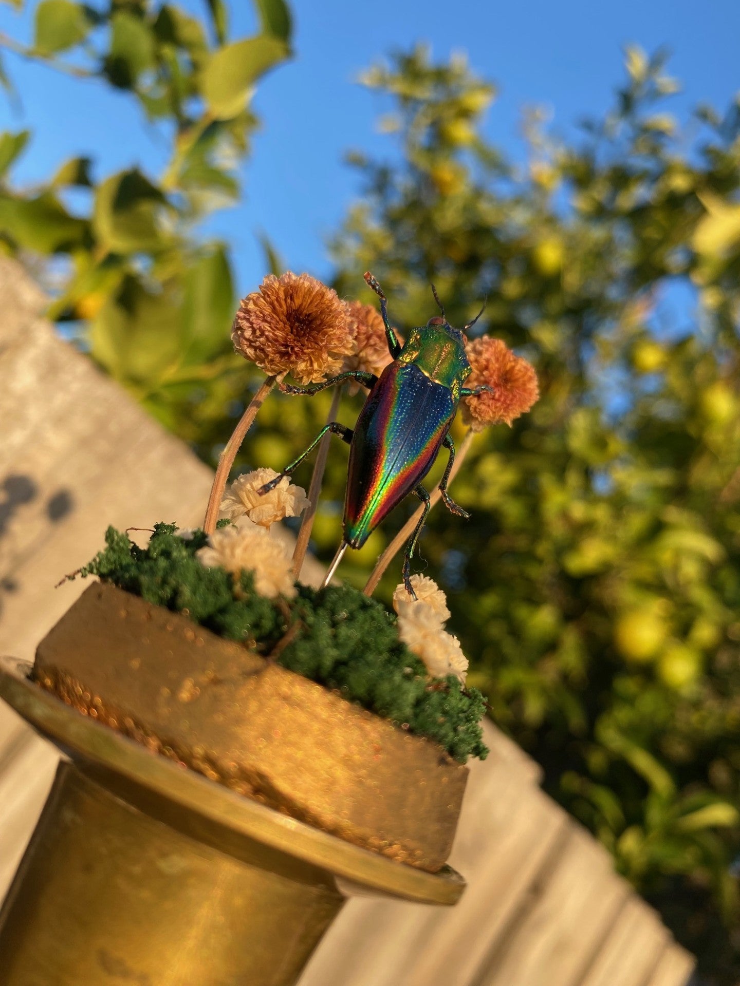 Rainbow Jewel Beetle Candle Holder