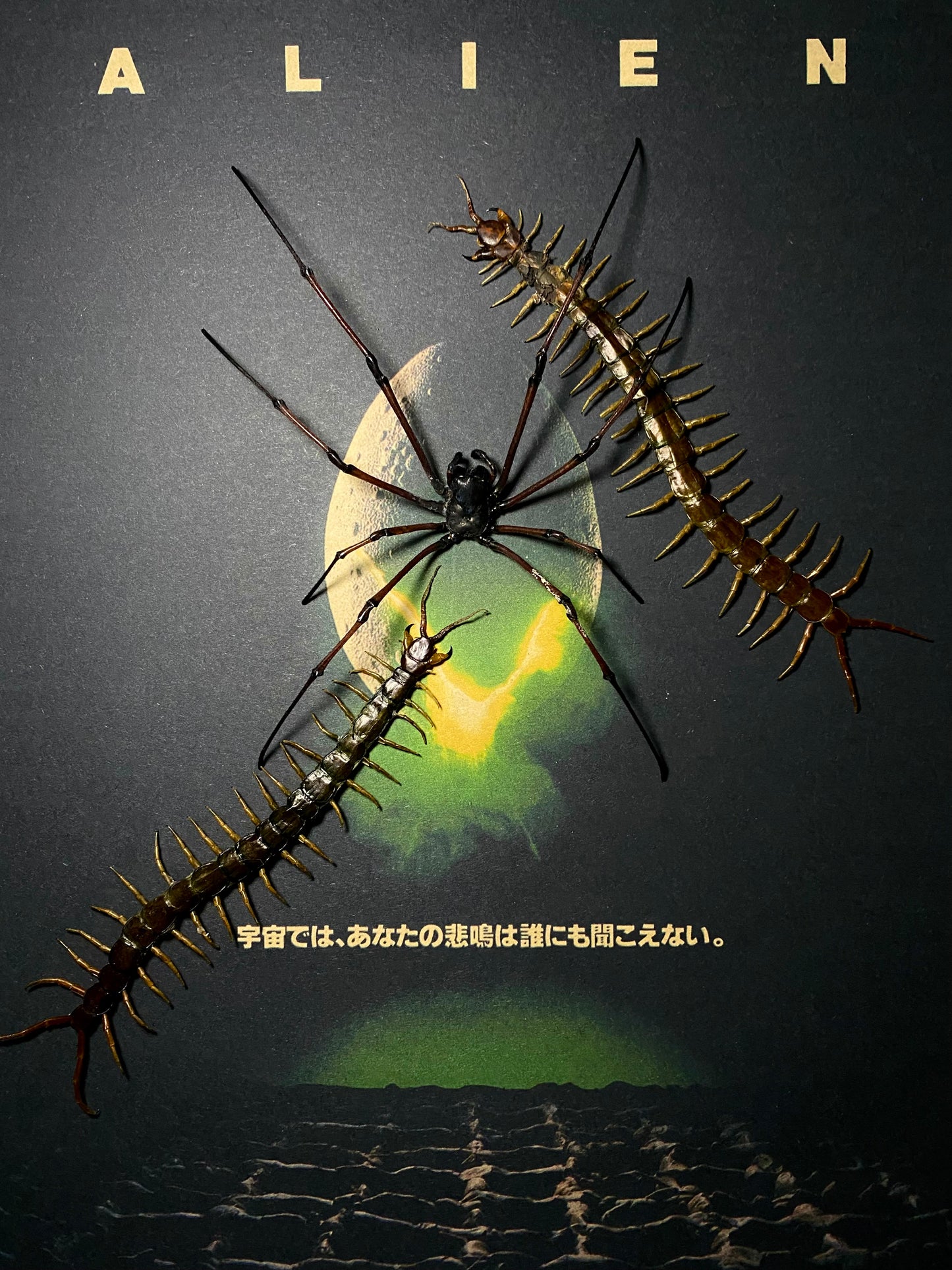 Alien Vs Centipede