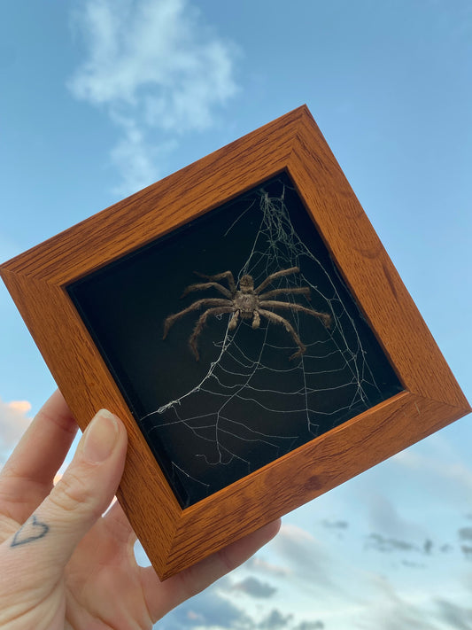 Huntsman Frame