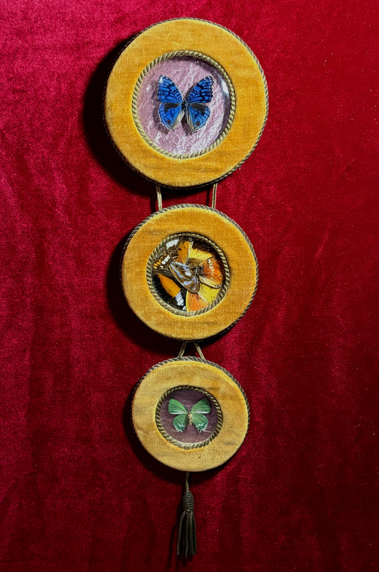 The 3 tiers of wonder