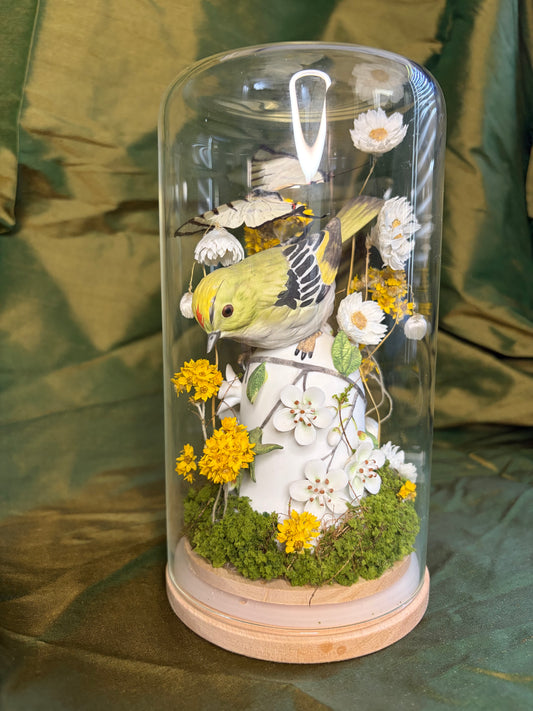 Japanese Bird bell & White swallowtail
