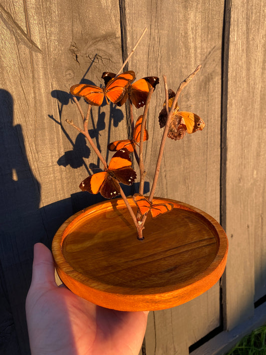 Orange Butterflies