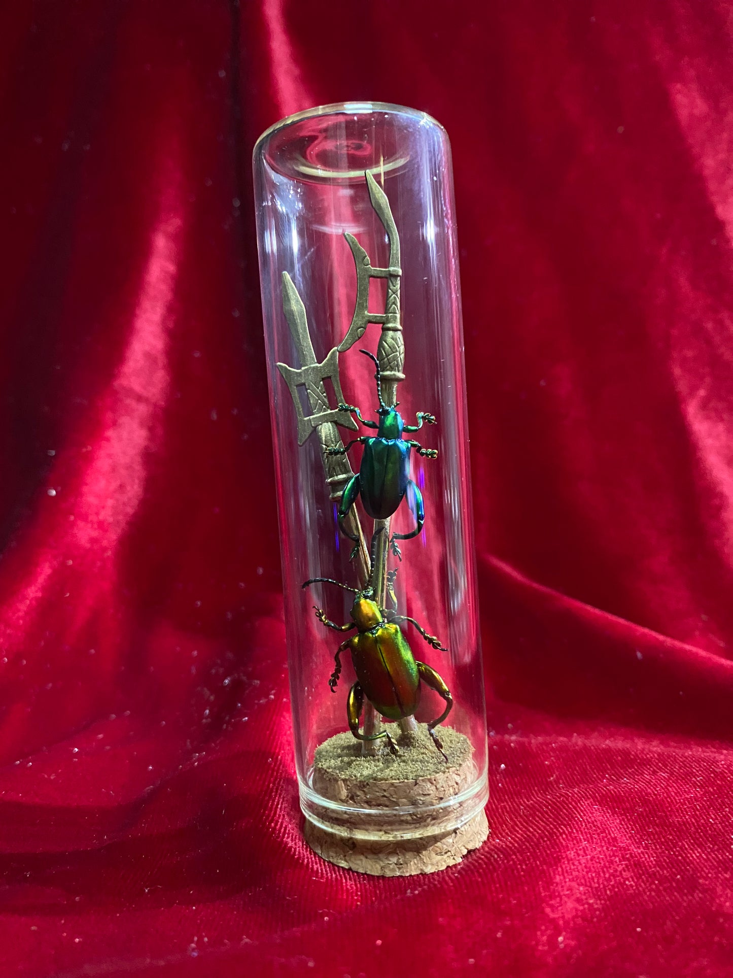 Medieval Beetles