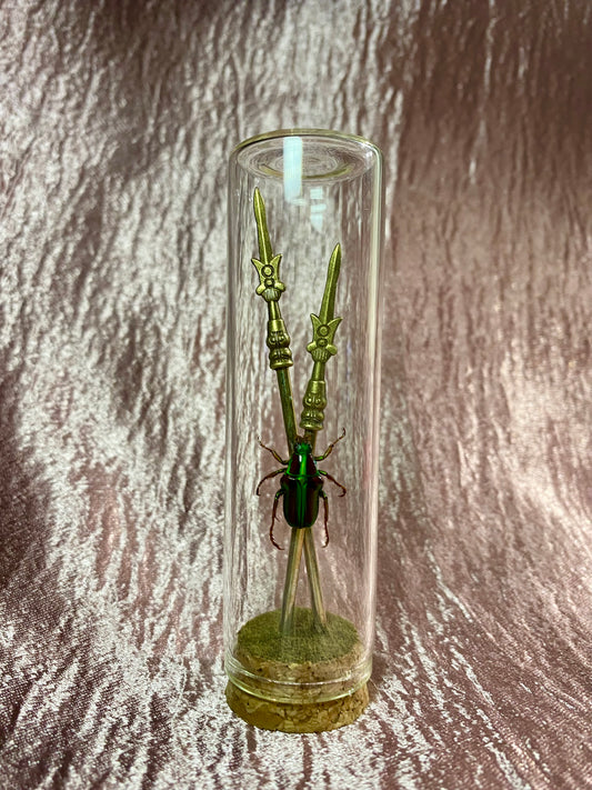 Medieval Beetle
