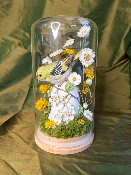 Japanese Bird bell & White swallowtail