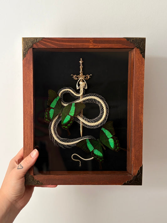 Pit viper & Papilio palinurus