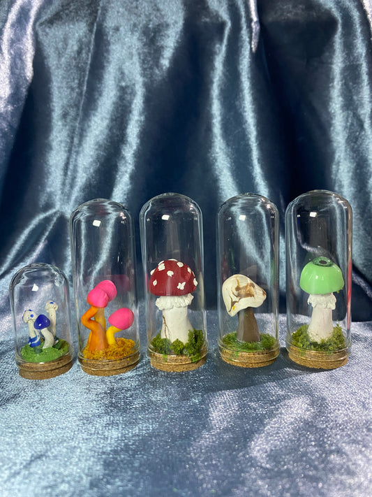 Mushroom Domes