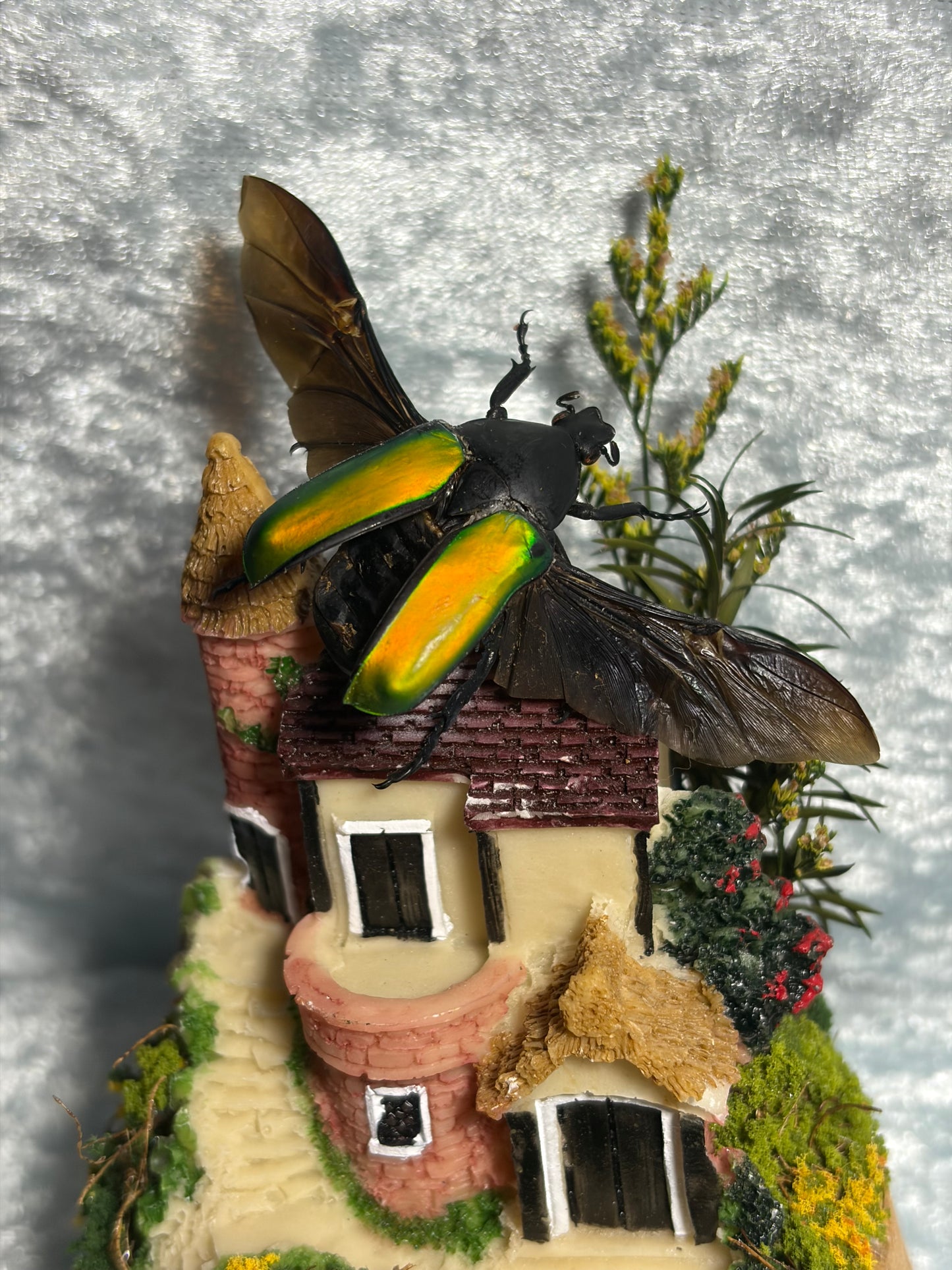 The Take off - Green Scarab beetle