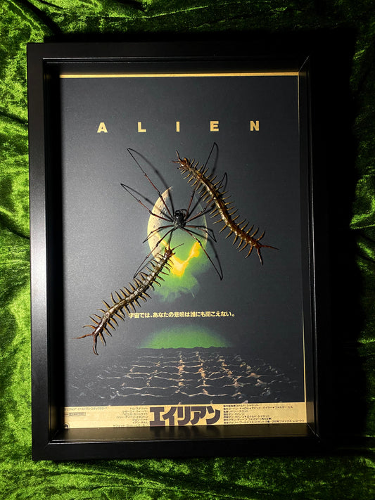 Alien Vs Centipede