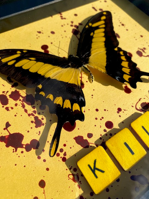 King Swallowtail (Kill Bill)