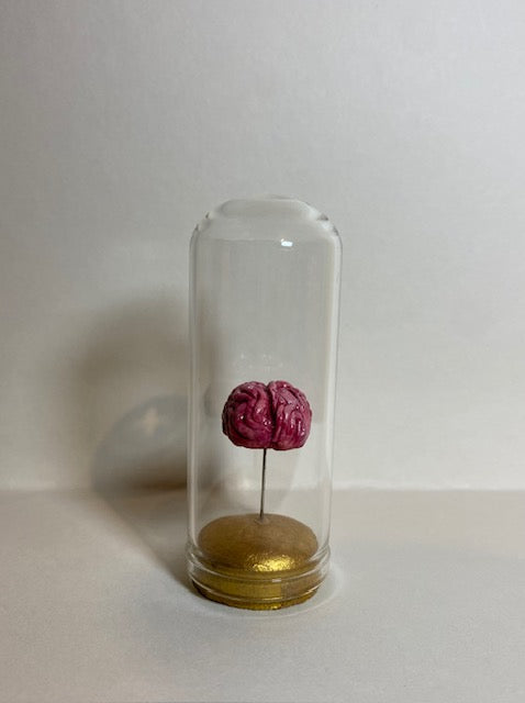 Small Brain Dome